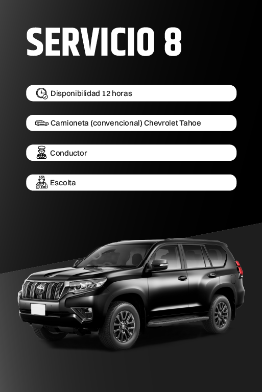 Servicio 8